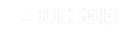 Black Series Camper logo