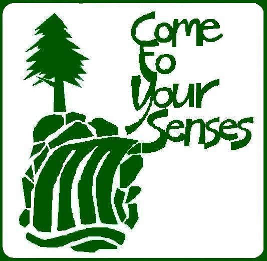 Salt Springs Park logo