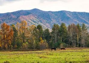 Great Smoky Mountains National Park