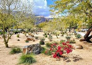 Palm Springs
