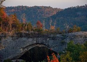 Mammoth Cave National Park