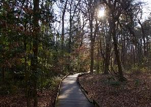Congaree National Park
