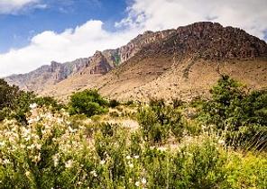 Guadalupe Mountains National Park