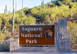 Saguaro National Park