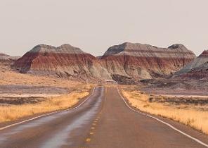 Petrified Forest National Park