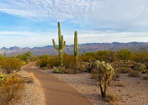 Tucson