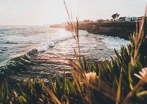Santa Cruz