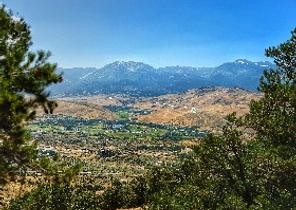 Reno