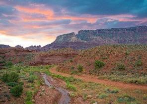 Duck Creek