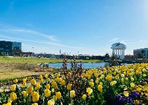 Wichita
