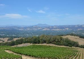 Santa Rosa