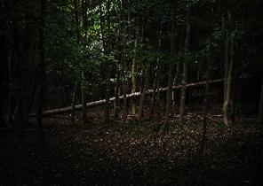 Chilton