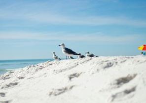 Santa Rosa Beach