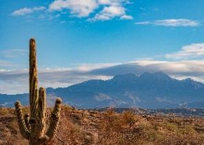 Maricopa